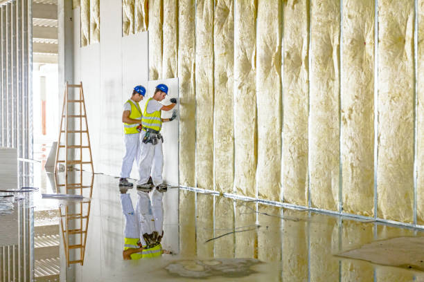 Insulation Inspection Services in Ault, CO